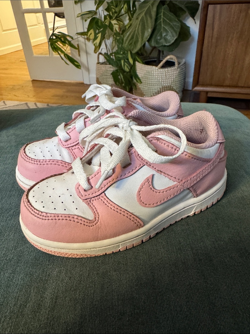 Nike Dunk Low “Pomegranate” Size 9C
